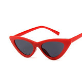 2019 Brand Fashion Cat Eye Sunglasses